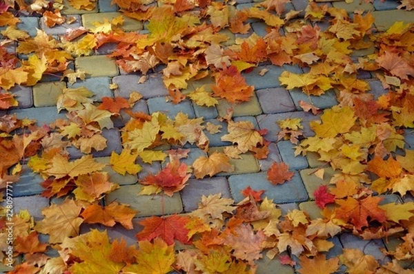 Obraz Осенние мотивы