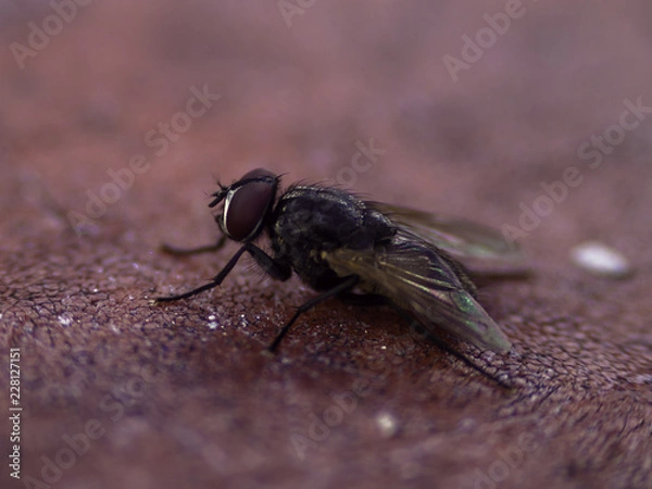 Obraz OLYMPUS DIGITAL CAMERA