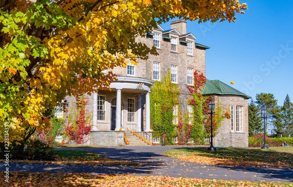 Obraz Fall in Fredericton