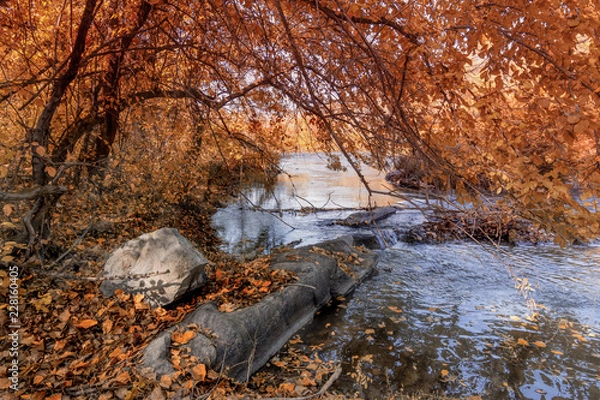 Obraz Autumn river scene.
