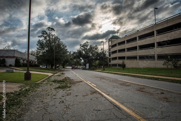 Obraz Destruction after Hurricane Michael 