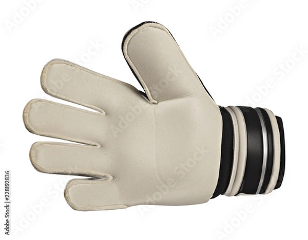 Obraz goalkeeper's glove