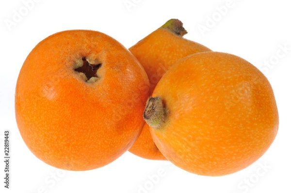 Obraz drei freigestellte Mispeln