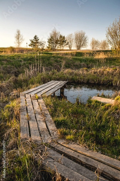 Fototapeta Wooden path over small pond in garden in early spring in sunset.