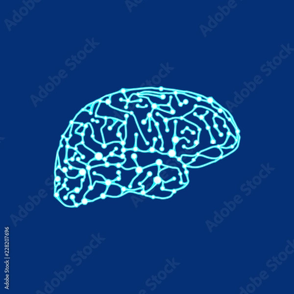 Fototapeta The original brain of points and lines
