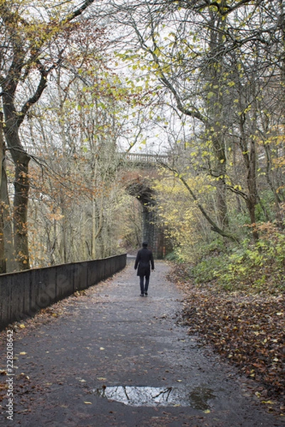 Obraz A park in Autumn  