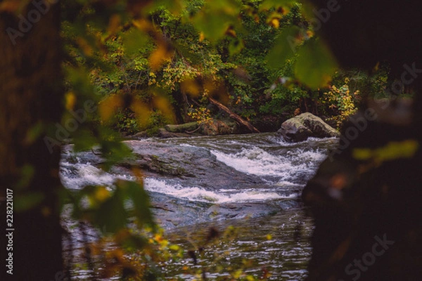 Fototapeta Stream
