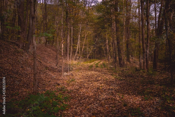 Fototapeta Fall Tail Perspective