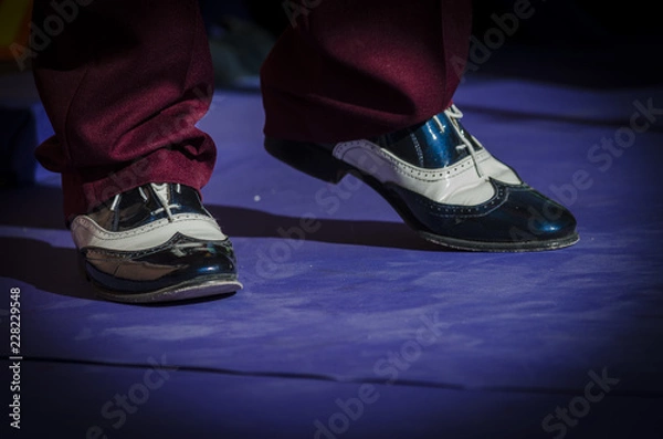 Obraz Zapato pachuco