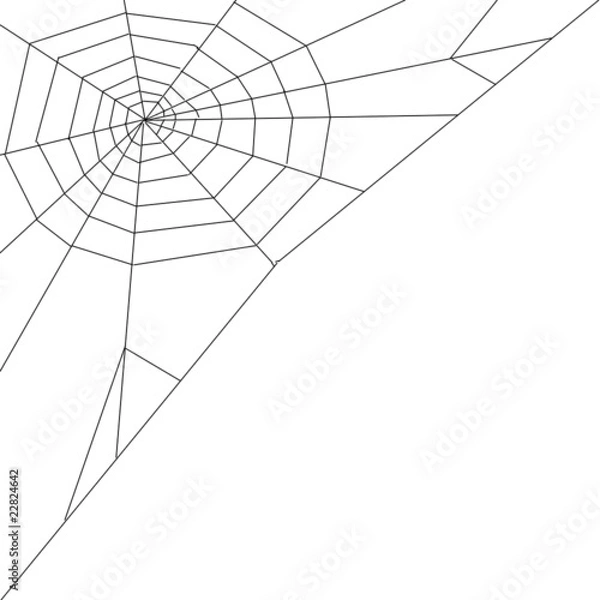 Obraz toile d'araigné