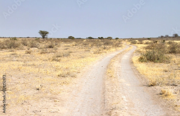 Obraz Sandy road in Botswana