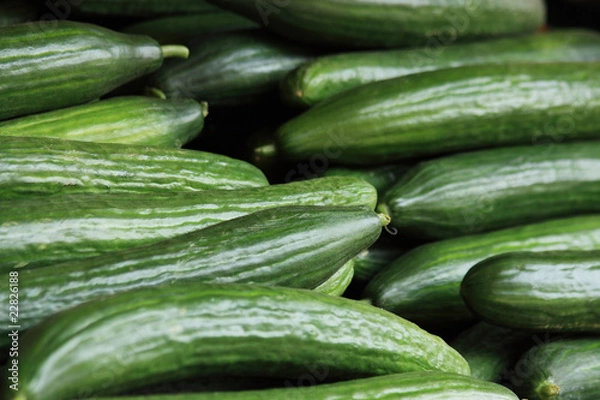 Obraz Wycinanka z ogórka