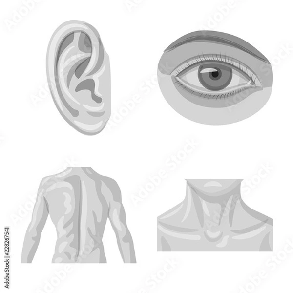 Fototapeta Isolated object of human and part icon. Set of human and woman stock symbol for web.