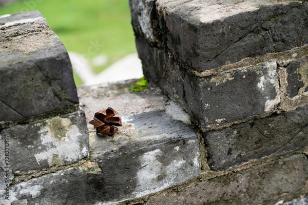 Obraz stone in the garden