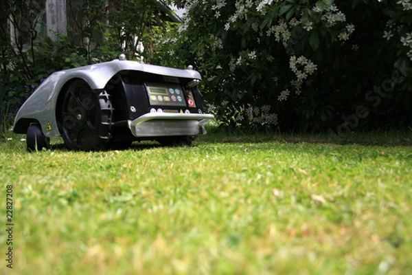 Obraz tonseuse robot