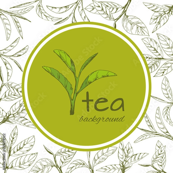 Obraz vector green tea leaves and branches, hand-drawn