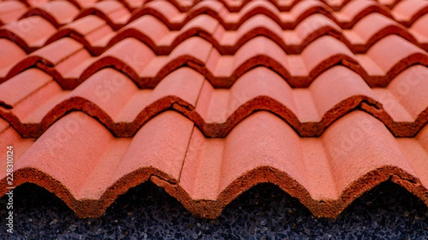 Obraz terracotta roof tiles on rooftops