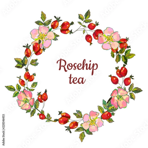 Fototapeta Rosehip frame for the tea label or card, vector graphic illustration