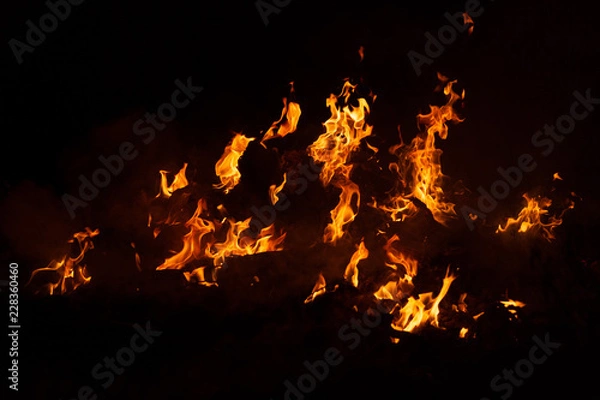 Obraz Flame of fire on a black background