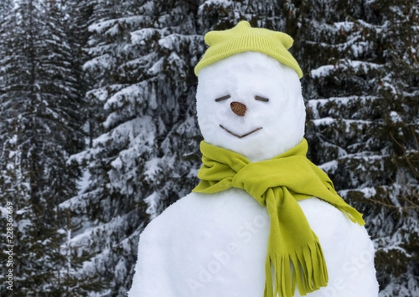 Obraz Funny snowman in hat.