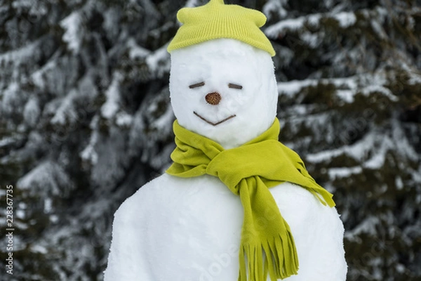Obraz Funny snowman in hat.