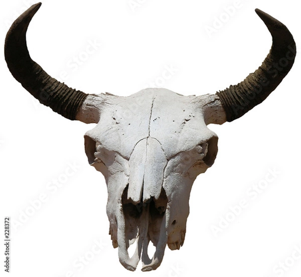 Obraz southwest icon