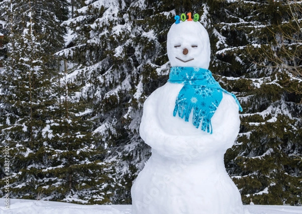 Obraz Funny snowman. New year 2019.