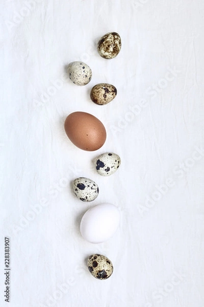Obraz quail eggs on white background