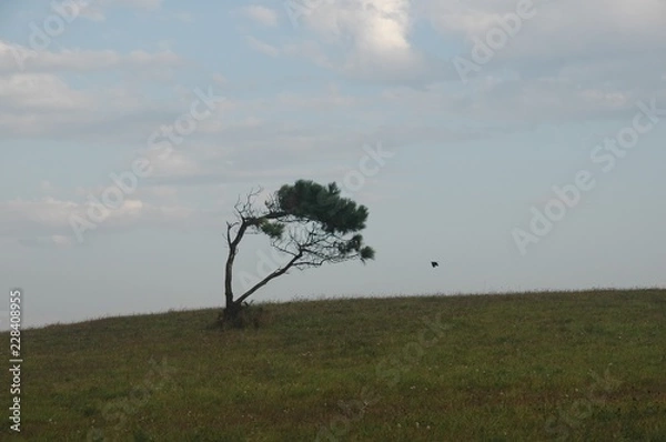 Obraz castilla la mancha