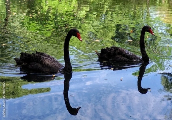 Obraz castilla la mancha