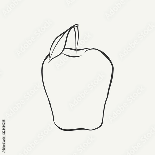 Obraz Outline black and white image of a apple. Vector Graphics.