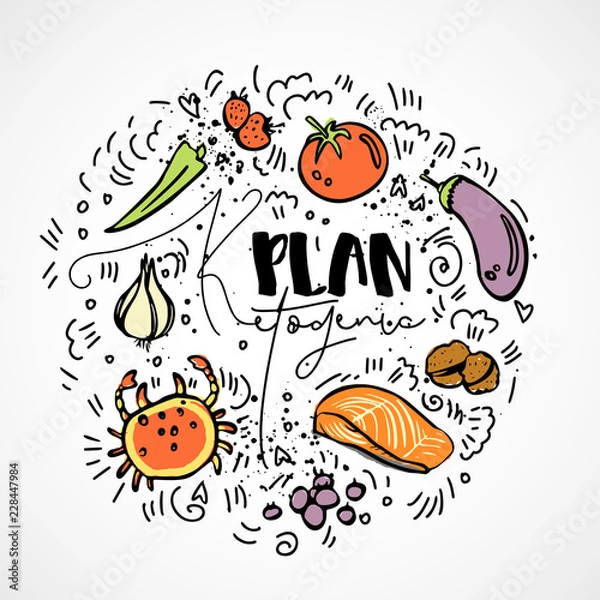 Fototapeta Ketogenic Plan - vector sketch illustration - multi-colored sketch healthy concept. Healthy keto diet Plan with texture and decorative elements in a circle form - all nutrients, like fats, carbs and