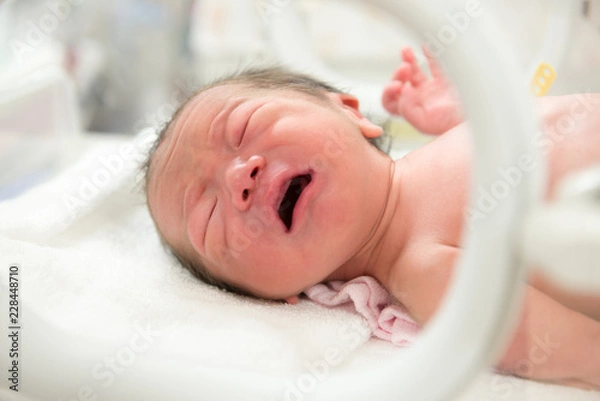 Obraz 生まれたての赤ちゃん