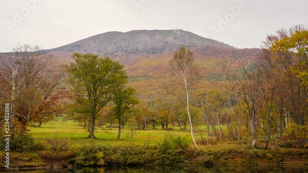 Fototapeta 紅葉と清水ケ池
