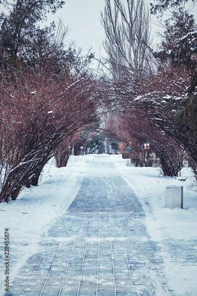 Fototapeta Winter walkway from tile under snow in a park in a big city