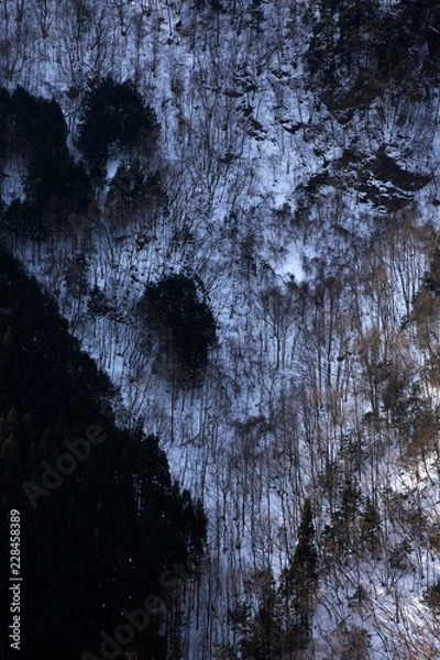 Fototapeta 雪の山