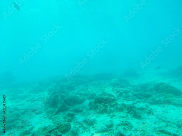 Fototapeta 沖縄の海