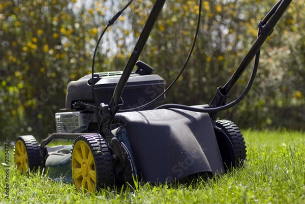 Obraz tondeuse thermique