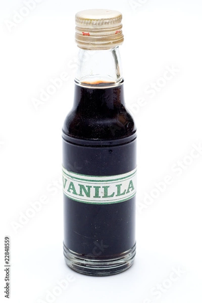 Obraz Vanilla Extract
