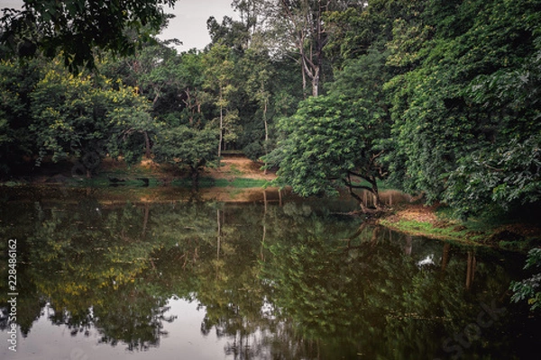 Obraz Sombre sous-bois
