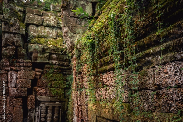 Obraz old stone wall with moss