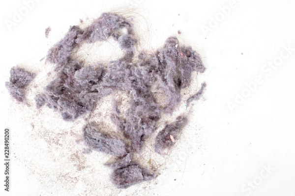 Fototapeta Dust from vacuum cleaner , high angle macro view