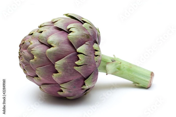 Obraz Organic Globe Artichoke