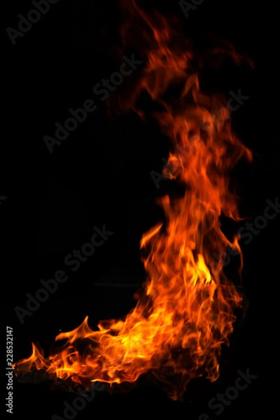 Obraz red and orange burning fire flames on black background.