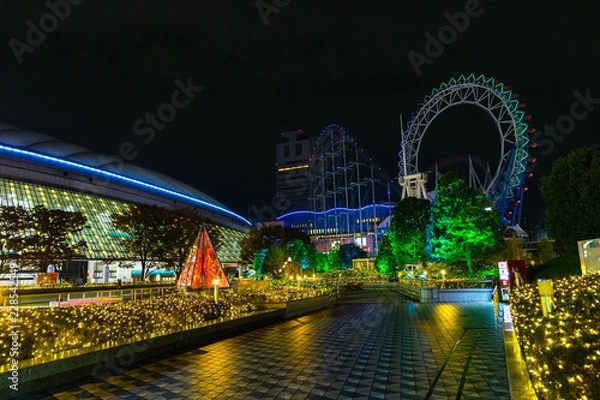 Obraz bridge at night