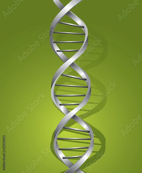 Obraz Silver dna spiral