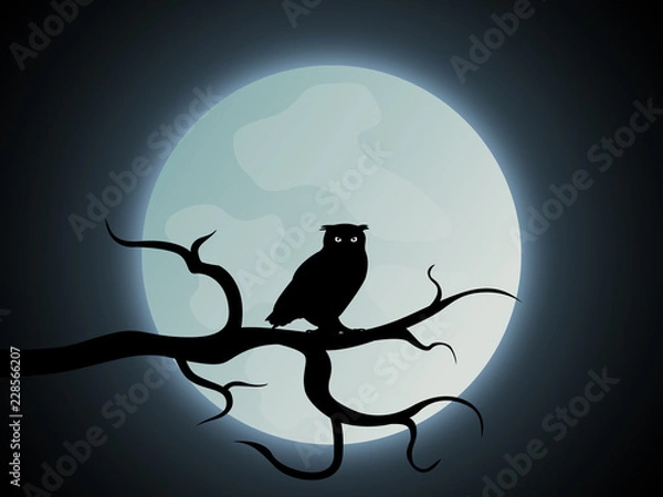 Obraz Halloween Eule Hintergrund