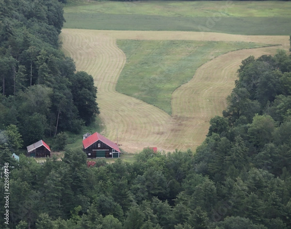 Obraz White Mountains