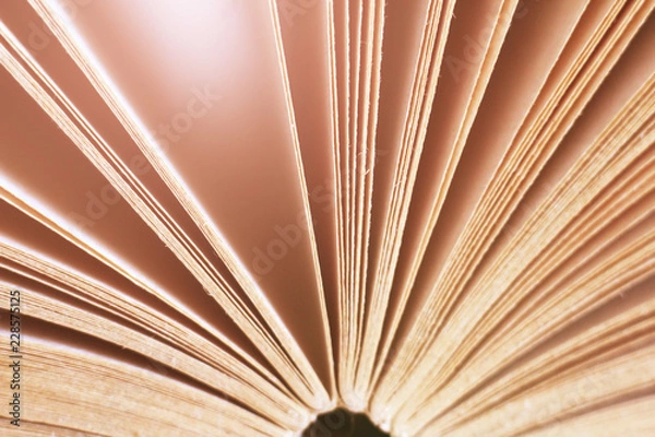 Obraz The pages of the book close
