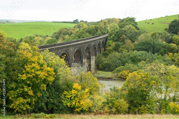 Obraz Bridge amongst trees